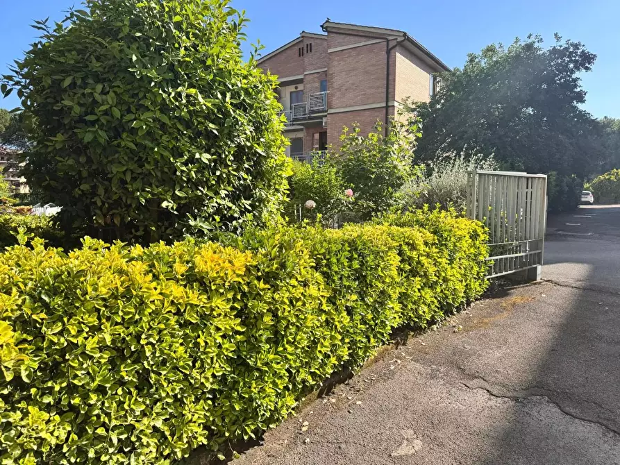 Immagine 12 di Appartamento in vendita  a Siena