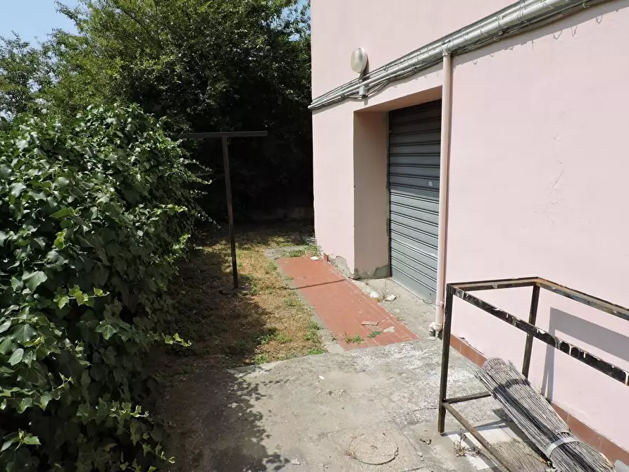 Immagine 20 di Appartamento in vendita  a San Giuliano Terme