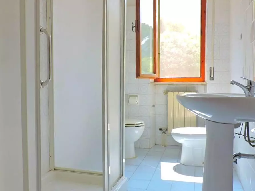 Immagine 14 di Appartamento in vendita  a San Giuliano Terme