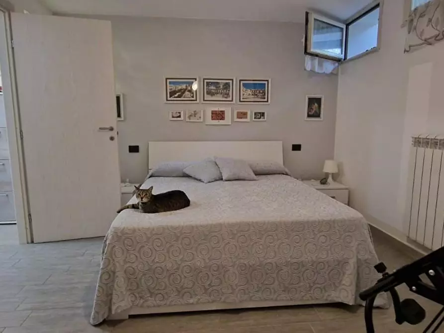 Immagine 38 di Appartamento in vendita  a Carrara