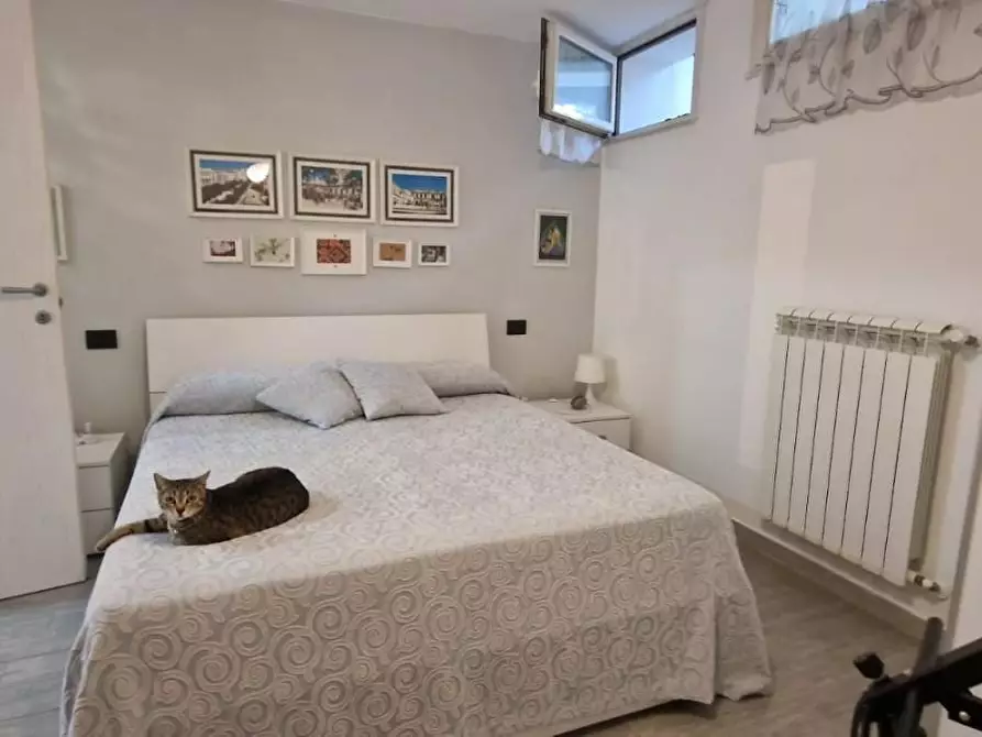 Immagine 35 di Appartamento in vendita  a Carrara