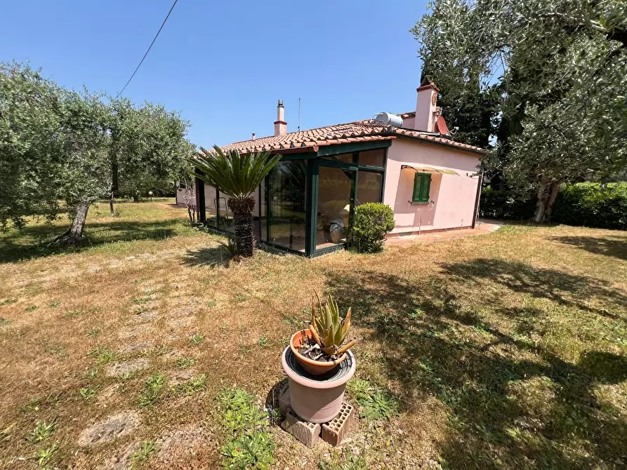 Immagine 17 di Casa colonica in vendita  a Castagneto Carducci