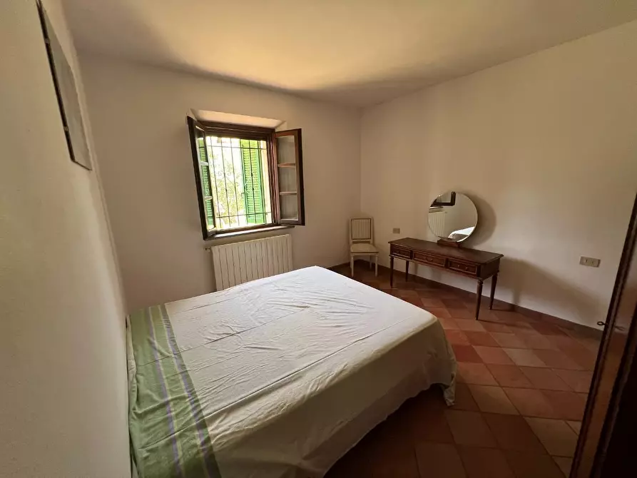 Immagine 9 di Casa colonica in vendita  a Castagneto Carducci