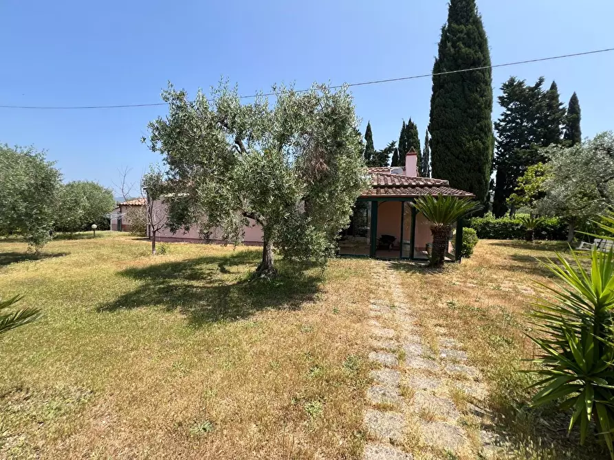 Immagine 15 di Casa colonica in vendita  a Castagneto Carducci