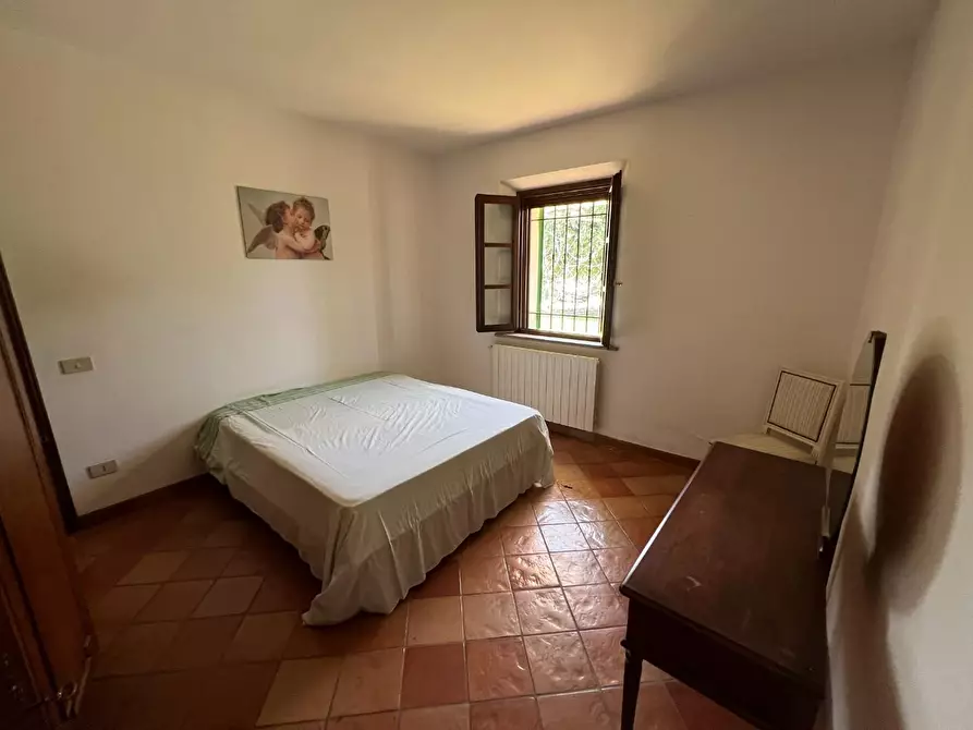 Immagine 10 di Casa colonica in vendita  a Castagneto Carducci