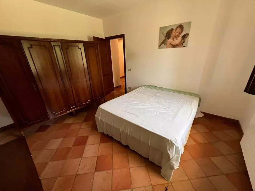 Immagine 11 di Casa colonica in vendita  a Castagneto Carducci