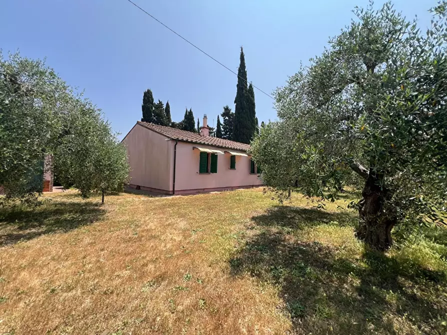 Immagine 18 di Casa colonica in vendita  a Castagneto Carducci