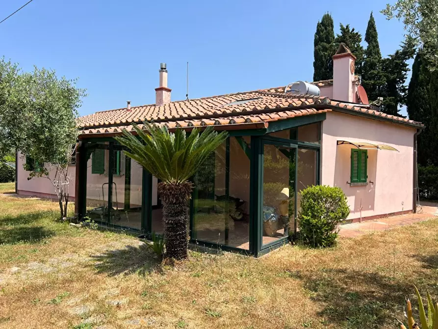 Immagine 21 di Casa colonica in vendita  a Castagneto Carducci