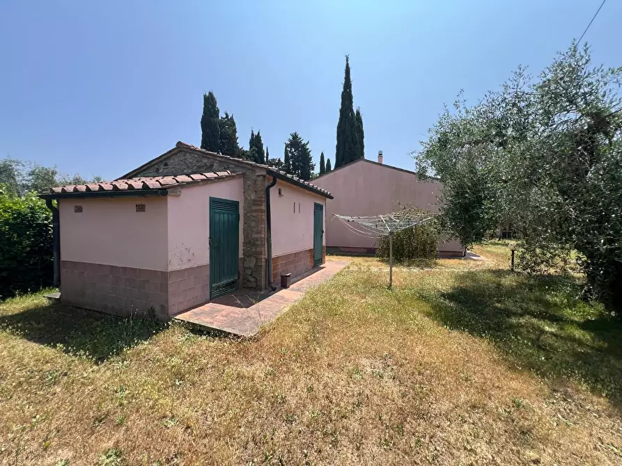 Immagine 19 di Casa colonica in vendita  a Castagneto Carducci