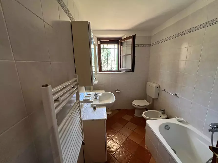 Immagine 14 di Casa colonica in vendita  a Castagneto Carducci