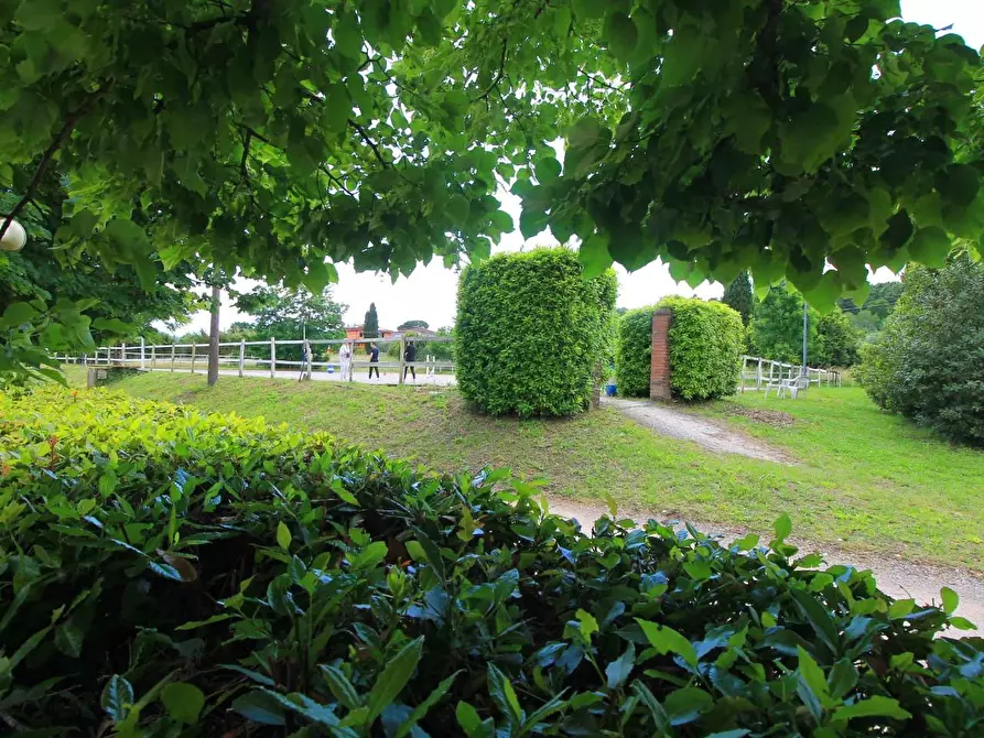 Immagine 49 di Casa colonica in vendita  a Porcari