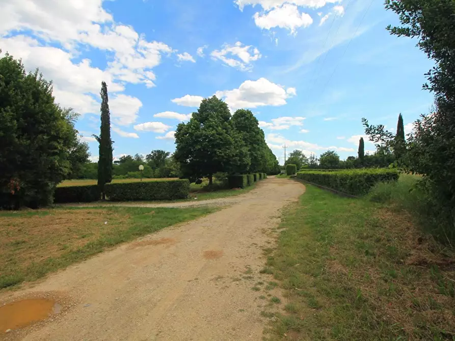 Immagine 44 di Casa colonica in vendita  a Porcari