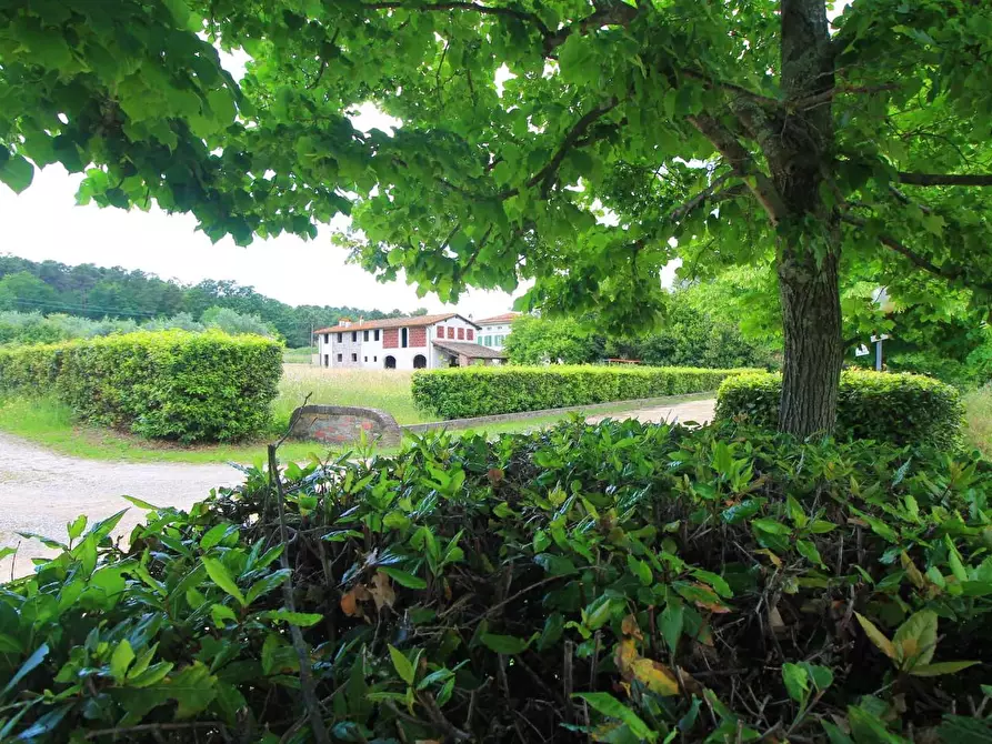 Immagine 48 di Casa colonica in vendita  a Porcari