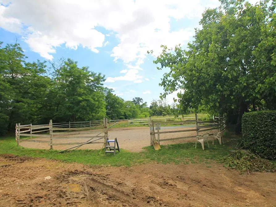 Immagine 56 di Casa colonica in vendita  a Porcari