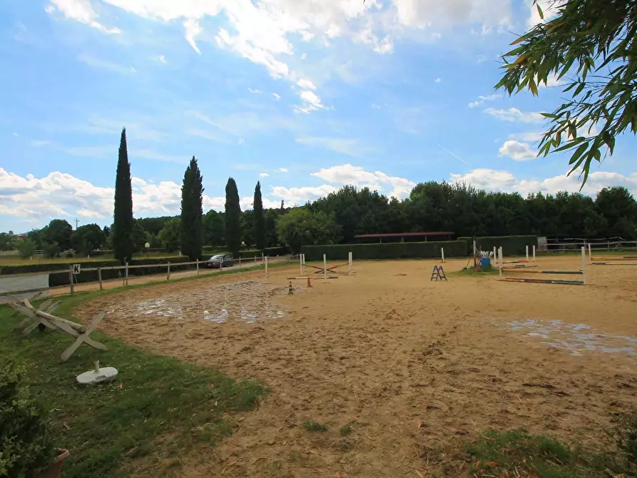 Immagine 58 di Casa colonica in vendita  a Porcari