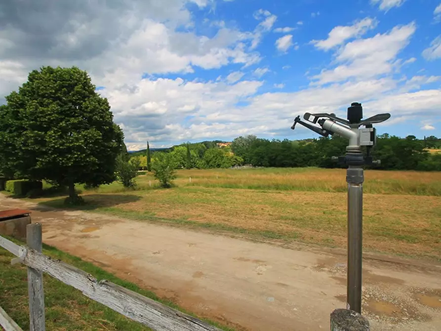 Immagine 50 di Casa colonica in vendita  a Porcari