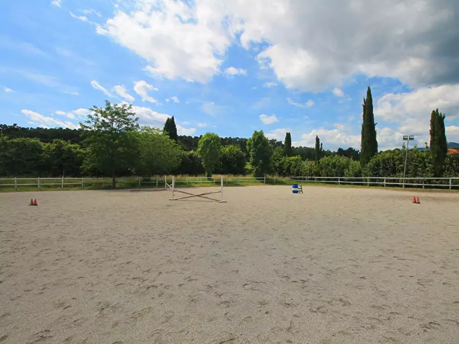 Immagine 52 di Casa colonica in vendita  a Porcari