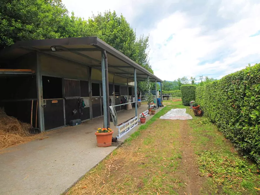 Immagine 54 di Casa colonica in vendita  a Porcari