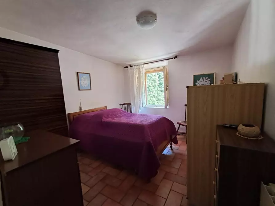 Immagine 17 di Appartamento in vendita  a Buti