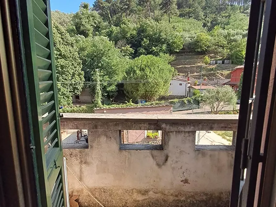 Immagine 21 di Appartamento in vendita  a Buti