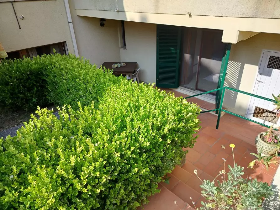 Immagine 11 di Appartamento in vendita  a Rosignano Marittimo