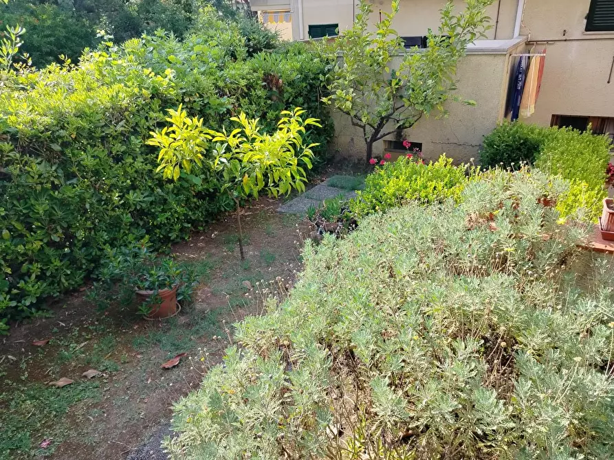 Immagine 14 di Appartamento in vendita  a Rosignano Marittimo