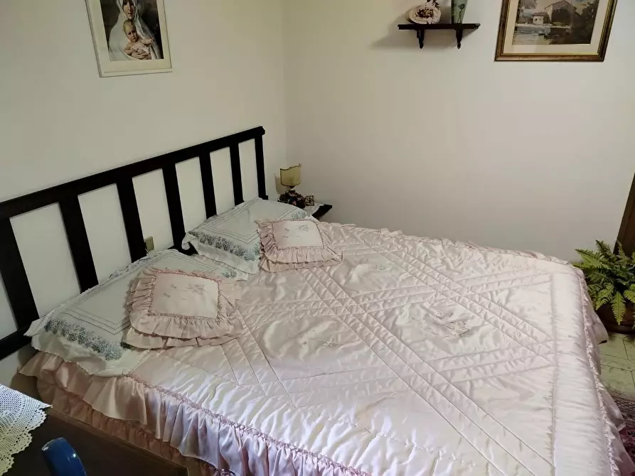 Immagine 8 di Appartamento in vendita  a Rosignano Marittimo