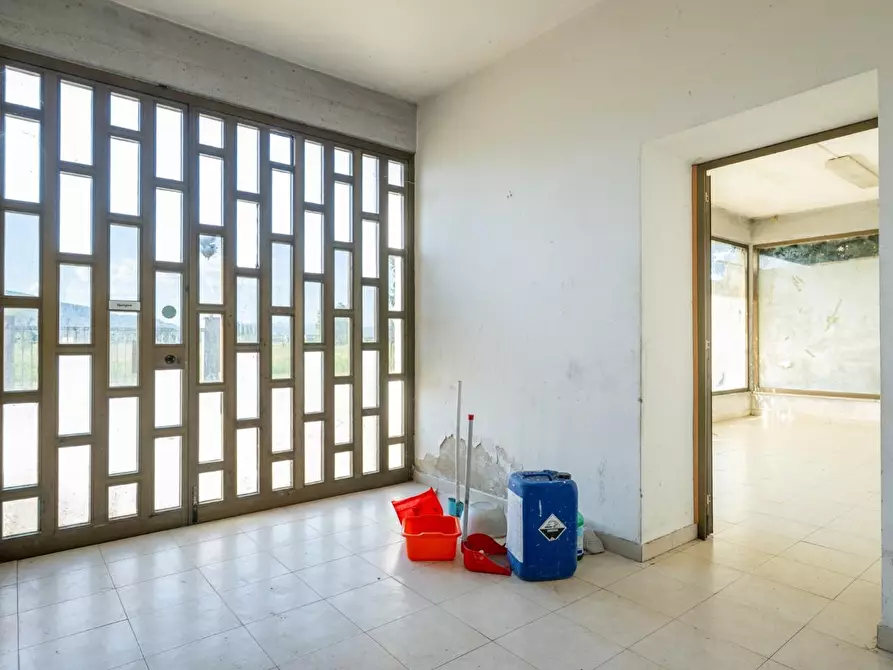 Immagine 9 di Attività artigianale in vendita  a Calcinaia