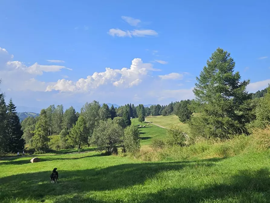 Immagine 9 di Appartamento in vendita  a Carrara