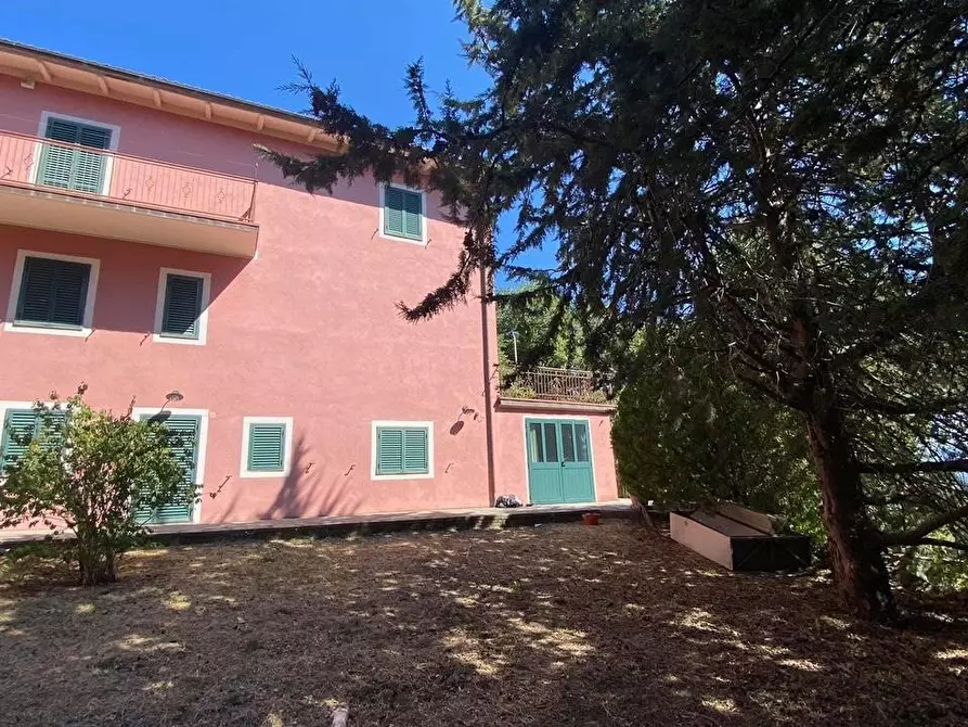 Immagine 4 di Casa colonica in vendita  a Arcidosso