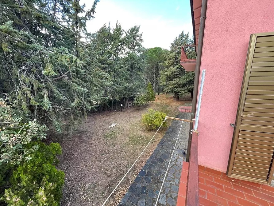 Immagine 13 di Casa colonica in vendita  a Arcidosso