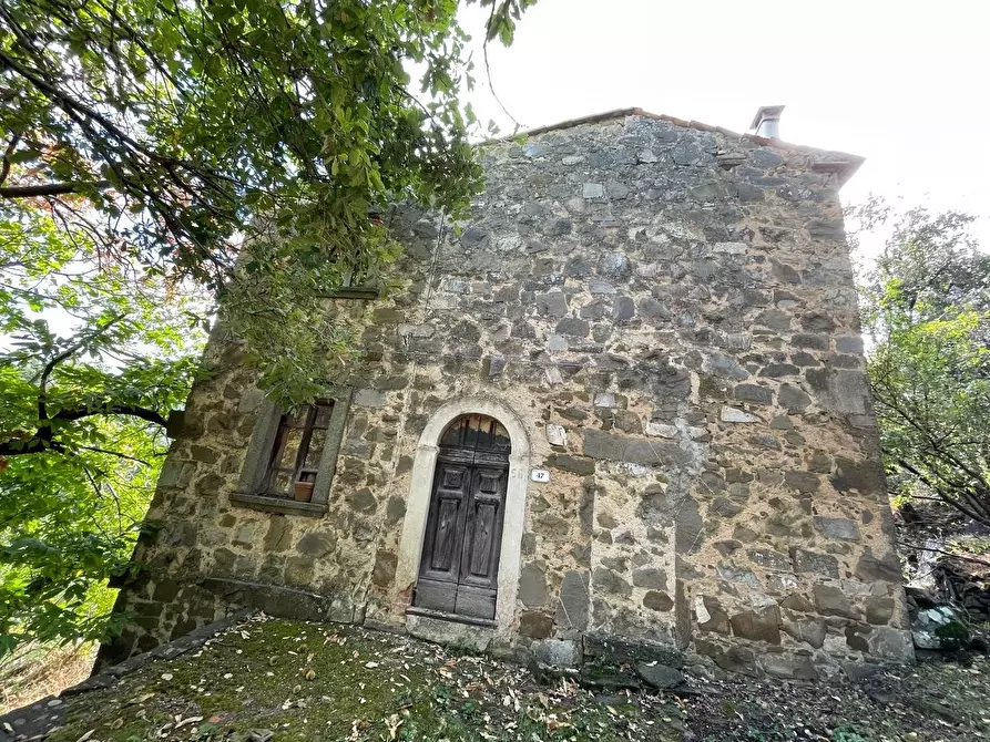 Immagine 94 di Casa colonica in vendita  a Arcidosso