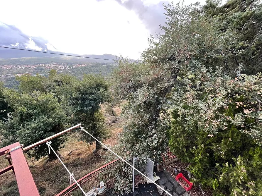 Immagine 14 di Casa colonica in vendita  a Arcidosso