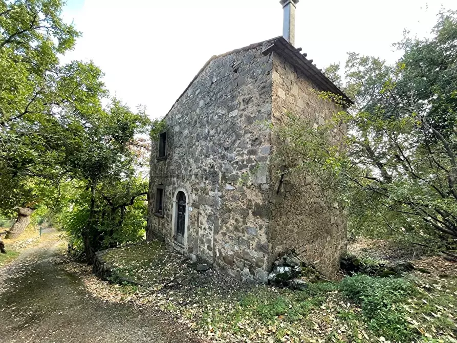 Immagine 92 di Casa colonica in vendita  a Arcidosso