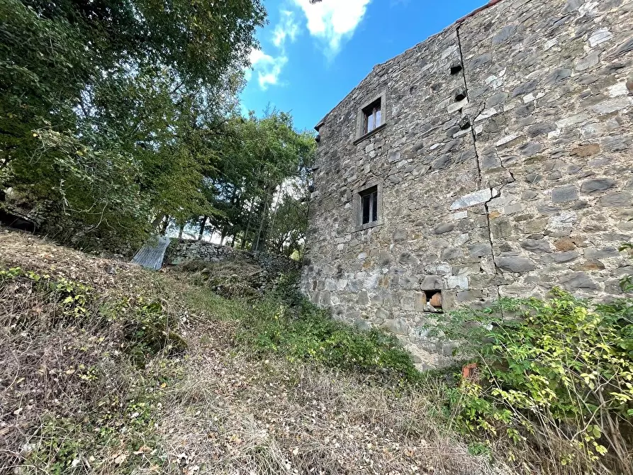 Immagine 100 di Casa colonica in vendita  a Arcidosso