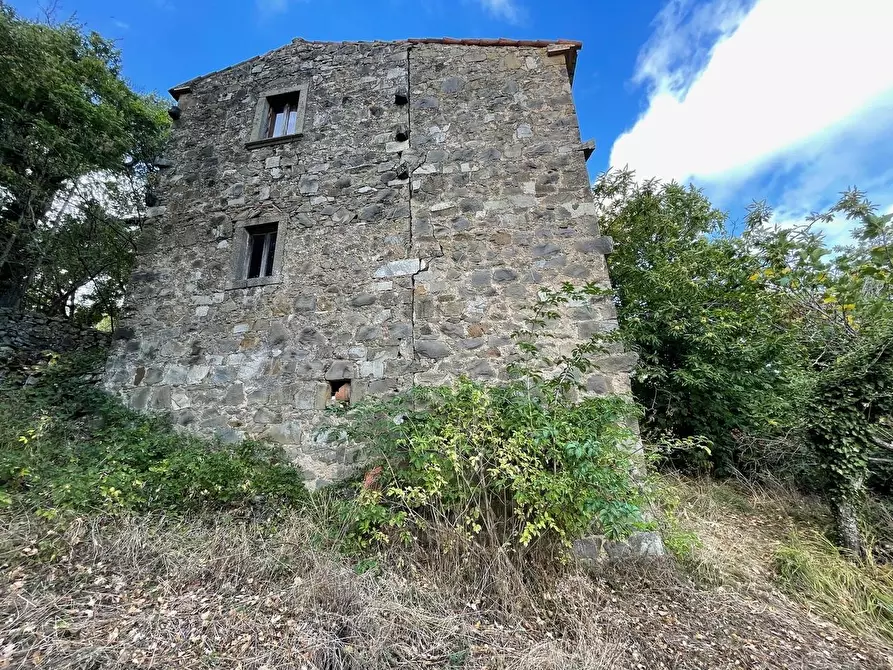 Immagine 101 di Casa colonica in vendita  a Arcidosso