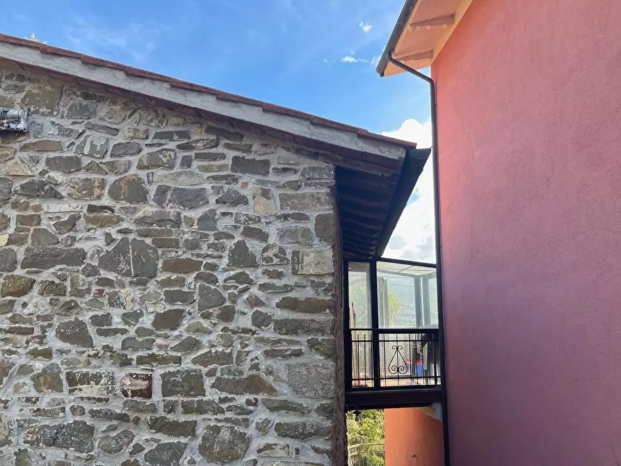 Immagine 48 di Casa colonica in vendita  a Arcidosso