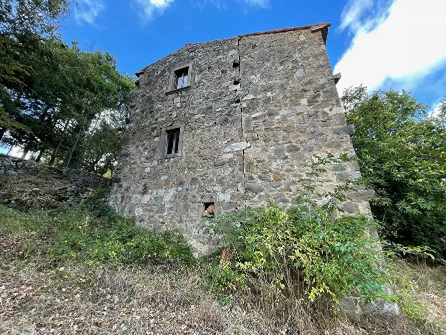 Immagine 99 di Casa colonica in vendita  a Arcidosso