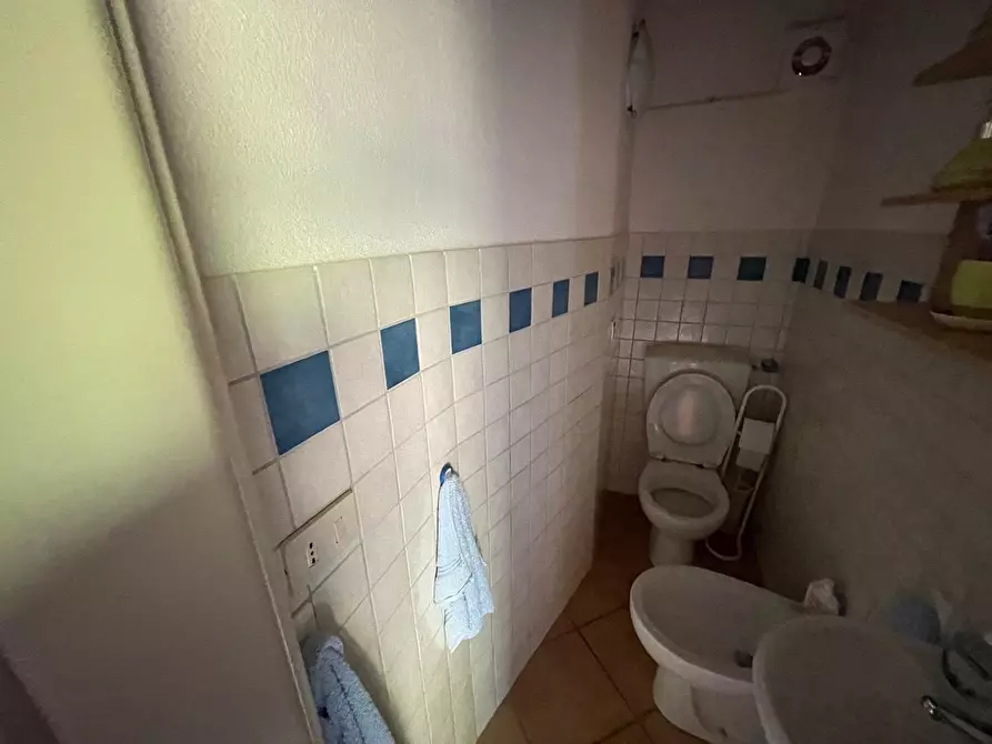 Immagine 23 di Casa colonica in vendita  a Arcidosso