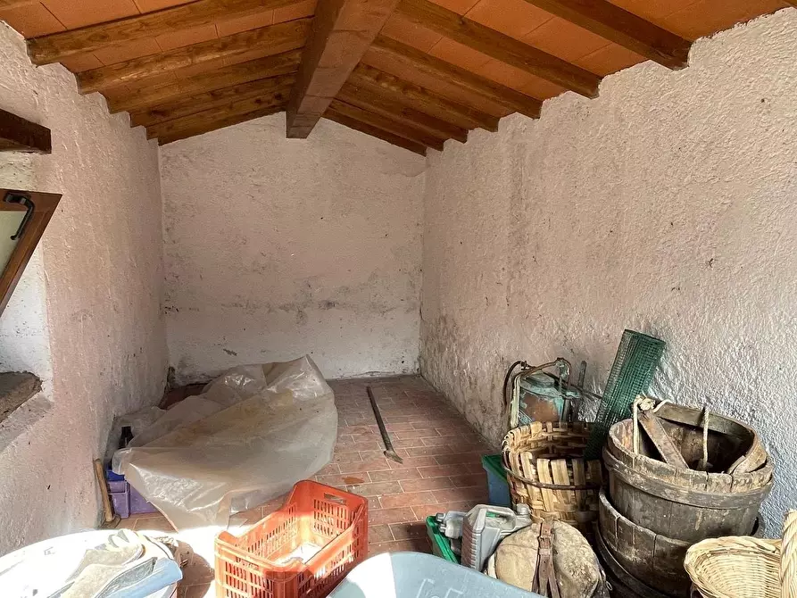 Immagine 31 di Casa colonica in vendita  a Arcidosso