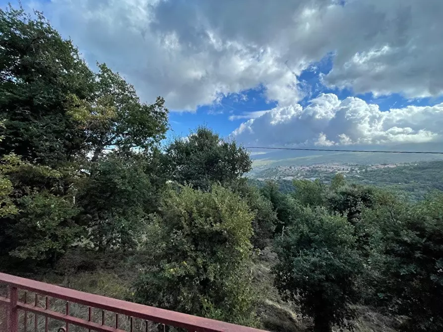 Immagine 9 di Casa colonica in vendita  a Arcidosso