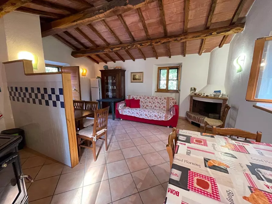 Immagine 43 di Casa colonica in vendita  a Arcidosso