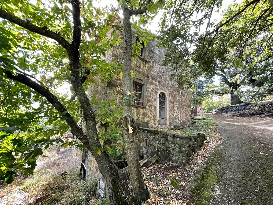Immagine 96 di Casa colonica in vendita  a Arcidosso