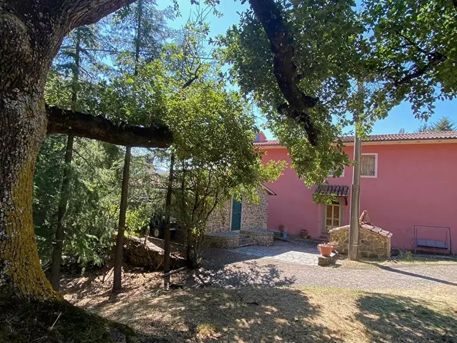 Immagine 1 di Casa colonica in vendita  a Arcidosso