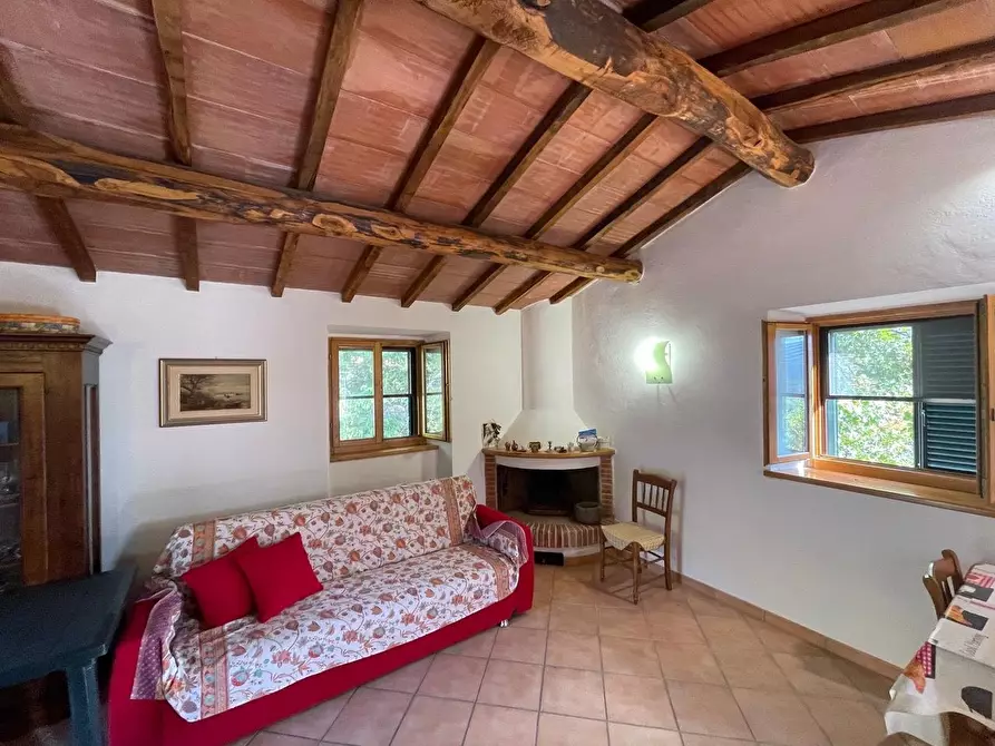 Immagine 45 di Casa colonica in vendita  a Arcidosso