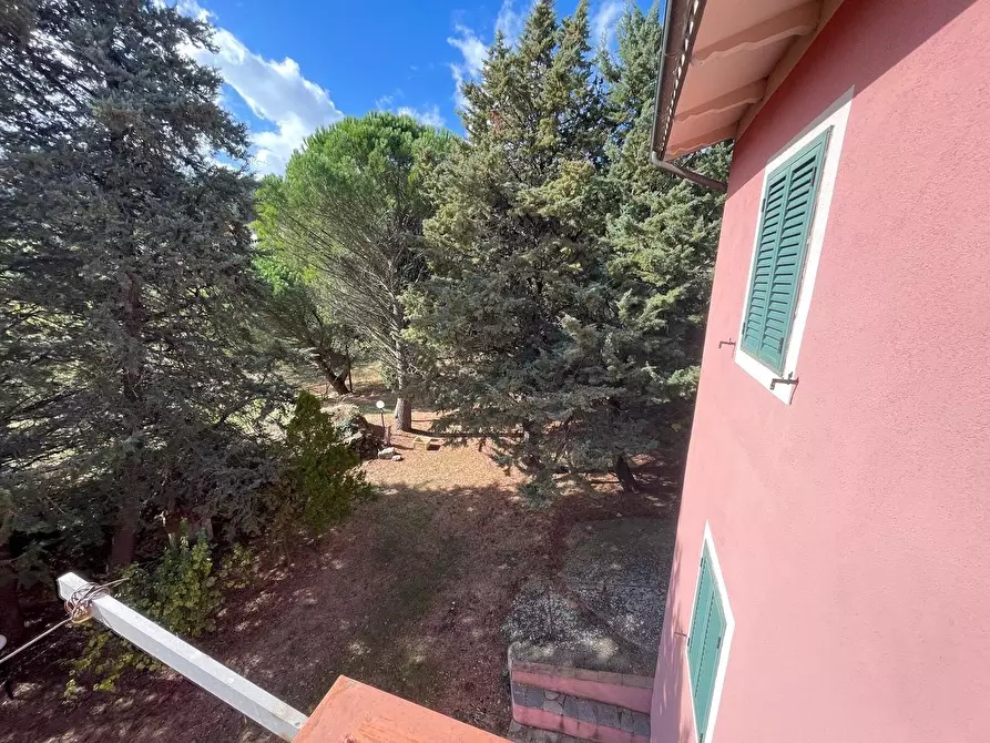 Immagine 63 di Casa colonica in vendita  a Arcidosso