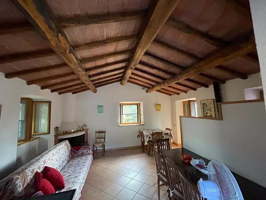 Immagine 28 di Casa colonica in vendita  a Arcidosso