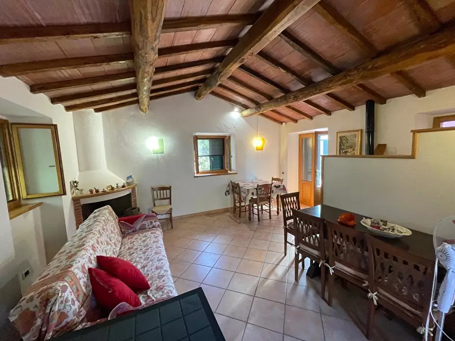 Immagine 46 di Casa colonica in vendita  a Arcidosso