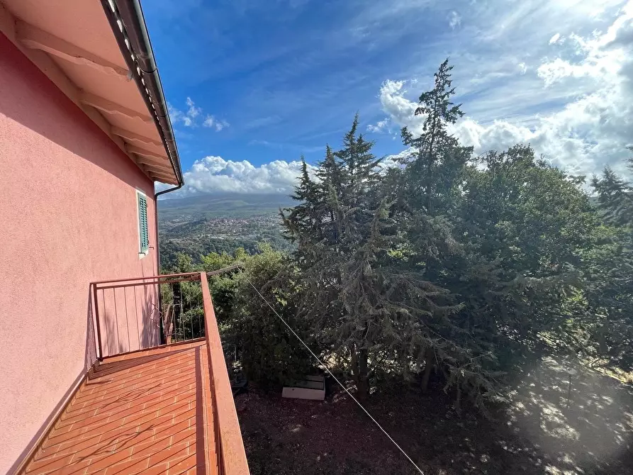Immagine 64 di Casa colonica in vendita  a Arcidosso