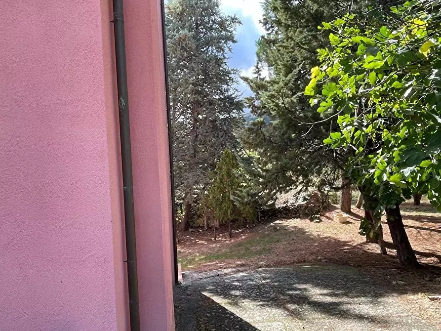 Immagine 34 di Casa colonica in vendita  a Arcidosso